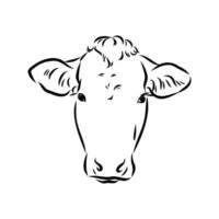 bosquejo del vector de la vaca