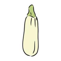 zucchini vector sketch