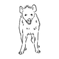 hyena vector sketch