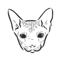 sphinx cat vector sketch