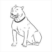 pit bull terrier vector sketch