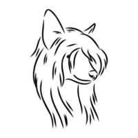 chinese crested dog vector sketch