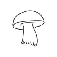 mushroom vector sketch