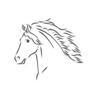 horse vector sketch