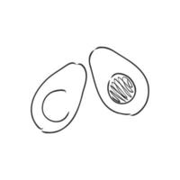 avocado vector sketch