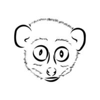 lemur lori vector sketch