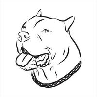 pit bull terrier vector sketch