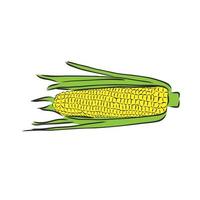 corn vector sketch