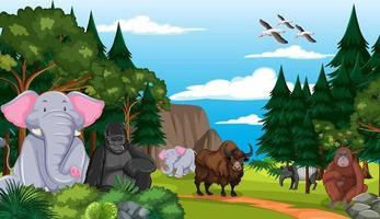 escena del bosque con personajes de dibujos animados de animales salvajes vector
