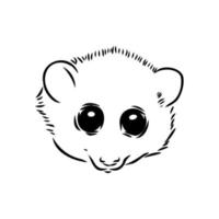 lemur lori vector sketch