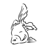 aquarium fish vector sketch