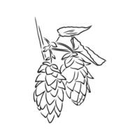 hop vector sketch