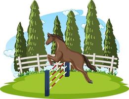 Equestrian sport with man on horseback vector