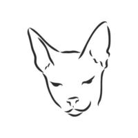 sphinx cat vector sketch