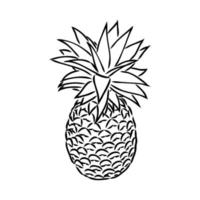 dibujo vectorial de piña vector