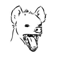 dibujo vectorial de hiena vector