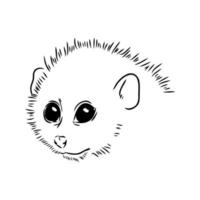 lemur lori vector sketch