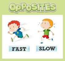 Opposite English words with fast and slow vector