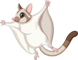 A cute cute sugar glider cartoon character vector