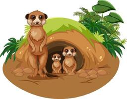 Group of meerkats in burrow in cartoon style vector