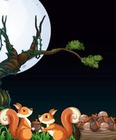 Scene with two squirrels collecting nuts at night vector