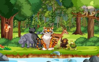 Wild animals cartoon characters in the forest scene vector