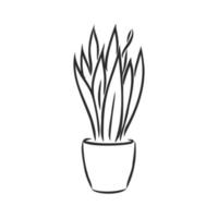 houseplant vector sketch