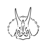 dibujo vectorial de esqueleto de dinosaurio vector