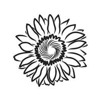 dibujo vectorial de semillas de girasol vector