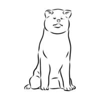 akita inu dog vector sketch