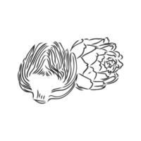 artichoke vector sketch