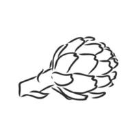 artichoke vector sketch