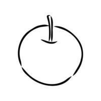 dibujo vectorial de manzana vector