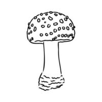 fly agaric vector sketch