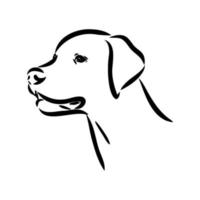 pointer dog vector sketch