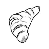 croissant vector sketch