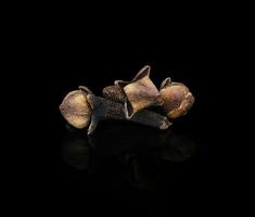 dried cloves isolated on black  background photo