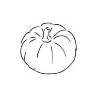 dibujo vectorial de calabaza vector