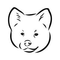 boceto vectorial de perro akita inu vector