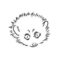 lemur lori vector sketch