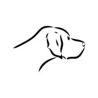 pointer dog vector sketch