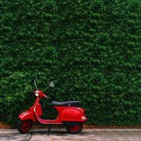 Red retro scooter parked on street side with green leaves wall. photo