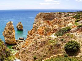 coast with cliffs and trees photo