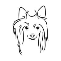 chinese crested dog vector sketch