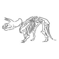 dinosaur skeleton vector sketch