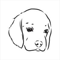 beagle dog vector sketch