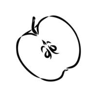 dibujo vectorial de manzana vector