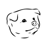 boceto vectorial de perro akita inu vector