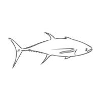 tuna vector sketch