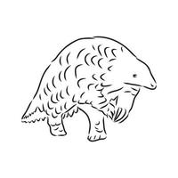 pangolin vector sketch